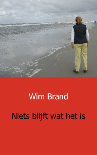 Omslag van Niets blijft wat het is