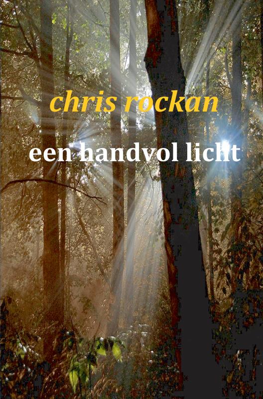 Omslag van een handvol licht