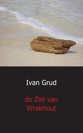 Omslag van De ziel van wrakhout