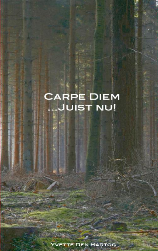 Omslag van Carpe Diem juist nu!