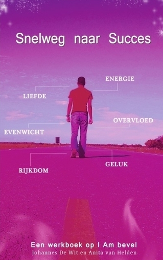 Omslag van Snelweg naar succes