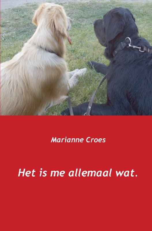 Omslag van Het is me allemaal wat