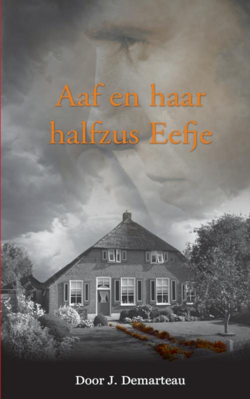 Omslag van Aaf en haar halfzus Eefje