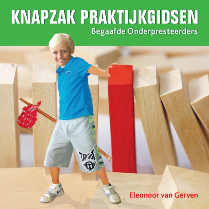 Omslag van Begaafde Onderpresteerders