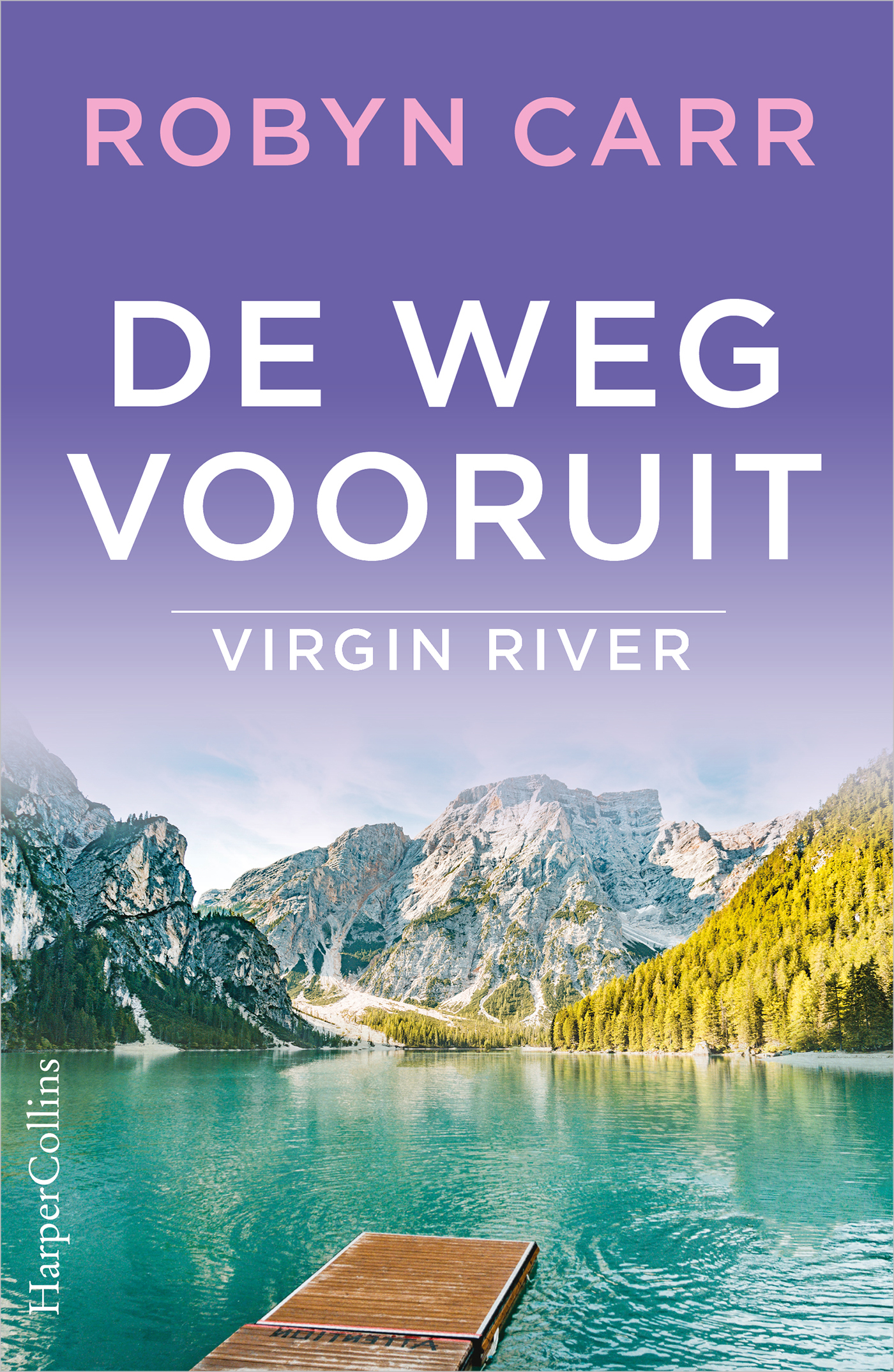 Omslag van De weg vooruit