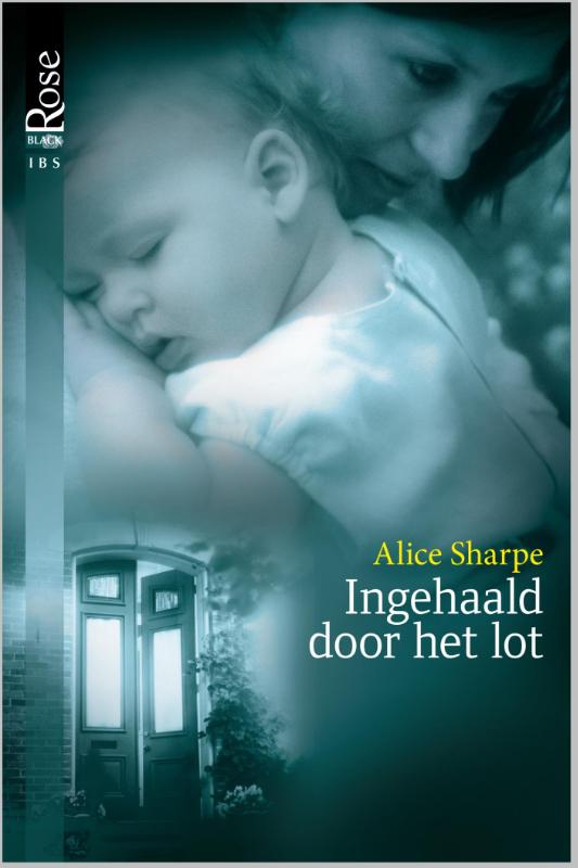 Omslag van Ingehaald door het lot