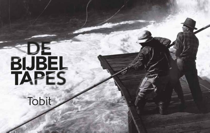 Omslag van Tobit