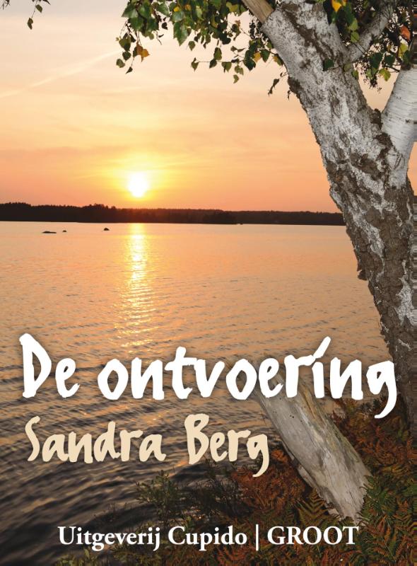 Omslag van De ontvoering