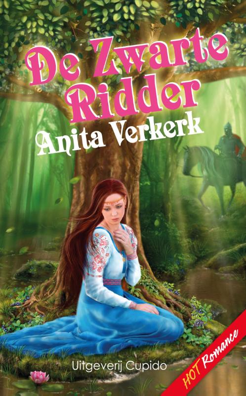 Omslag van De zwarte ridder