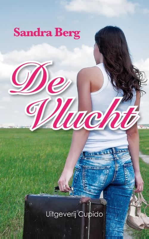 Omslag van De vlucht
