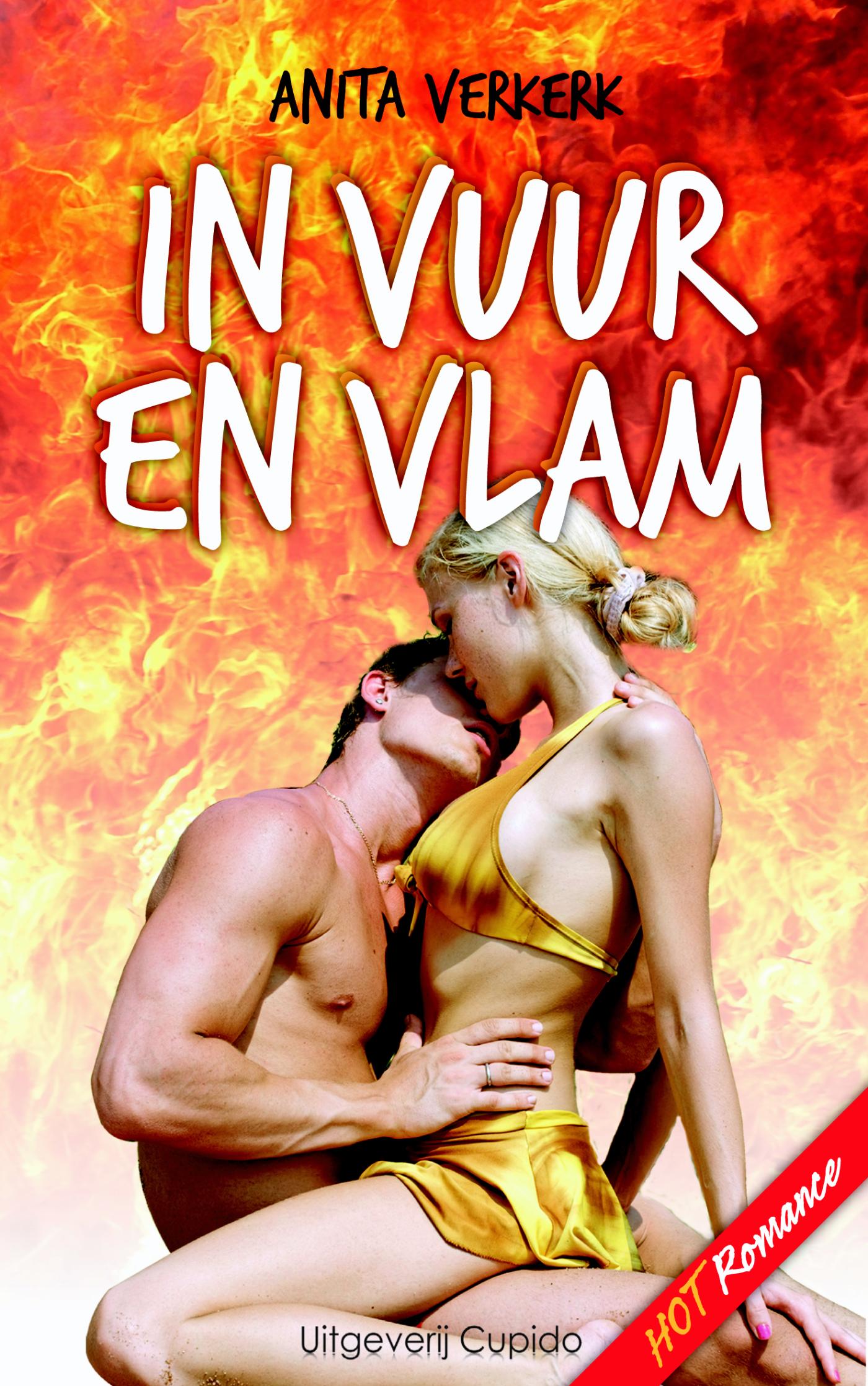 Omslag van In vuur en vlam