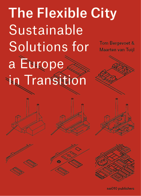 Omslag van The Flexible City