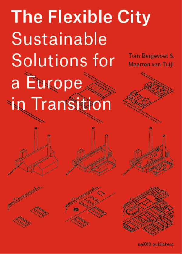 Omslag van The Flexible City