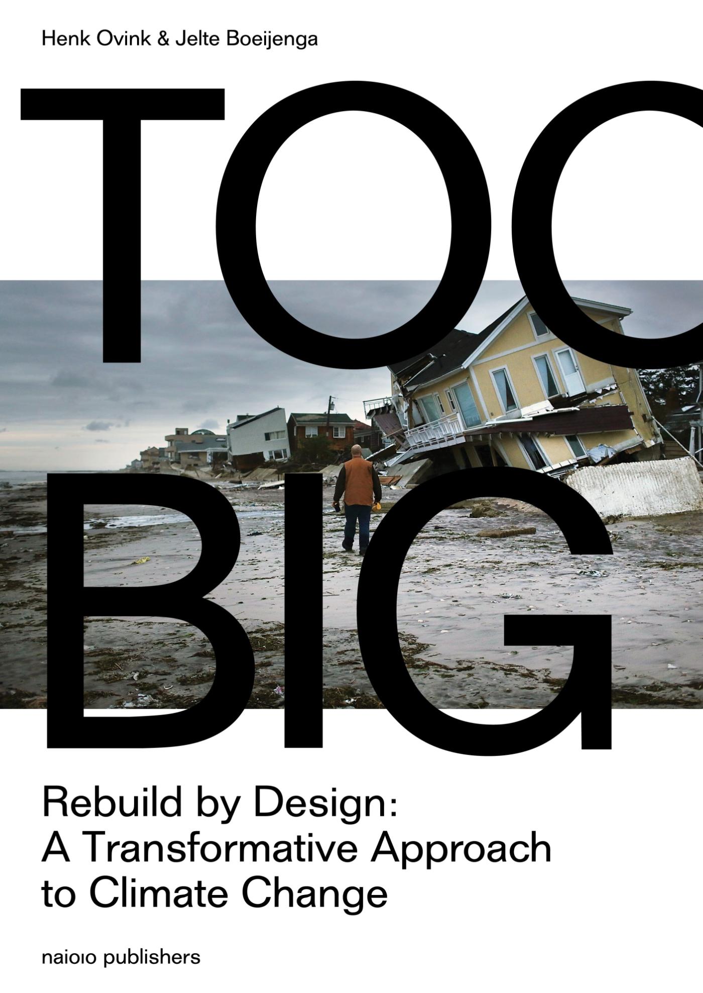 Omslag van Too Big
