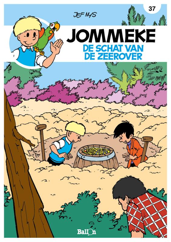Omslag van De schat van de zeerover