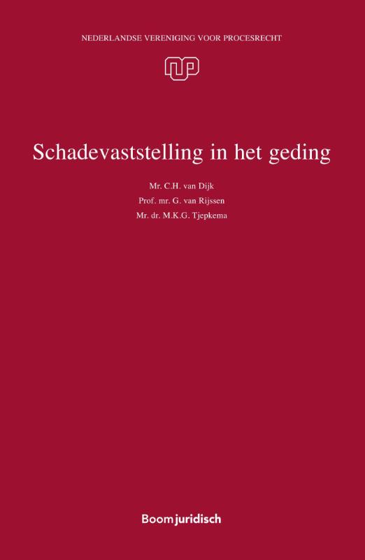Omslag van Schadevaststelling in het geding