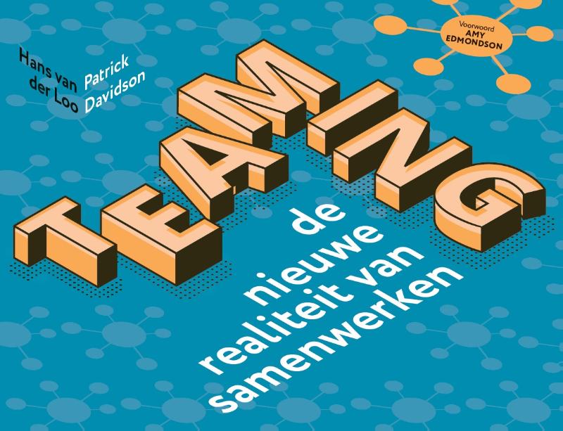 Omslag van Teaming