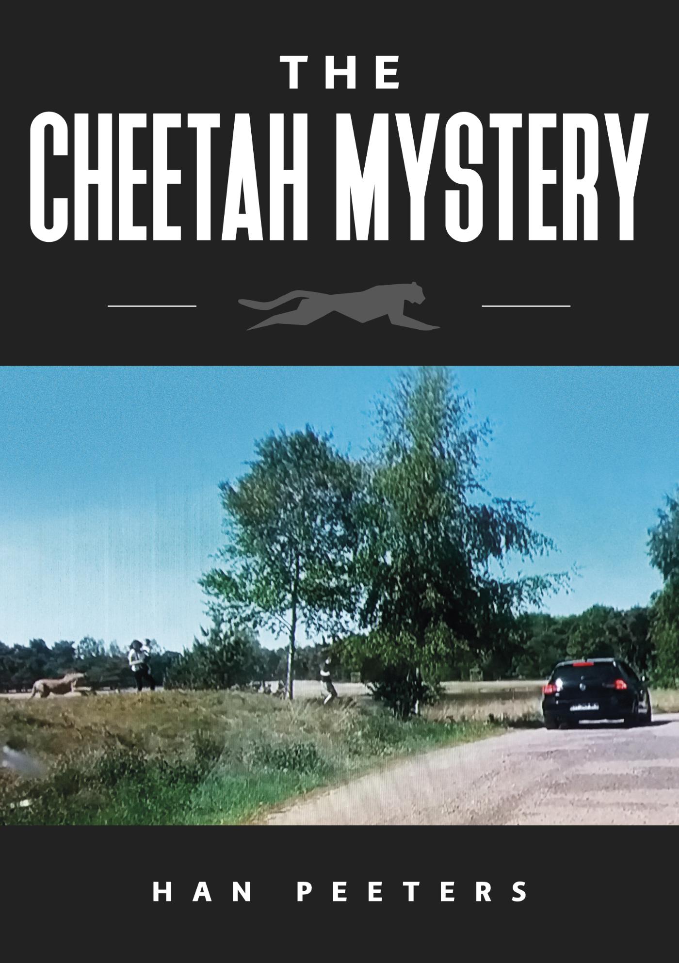 Omslag van The Cheetah mystery