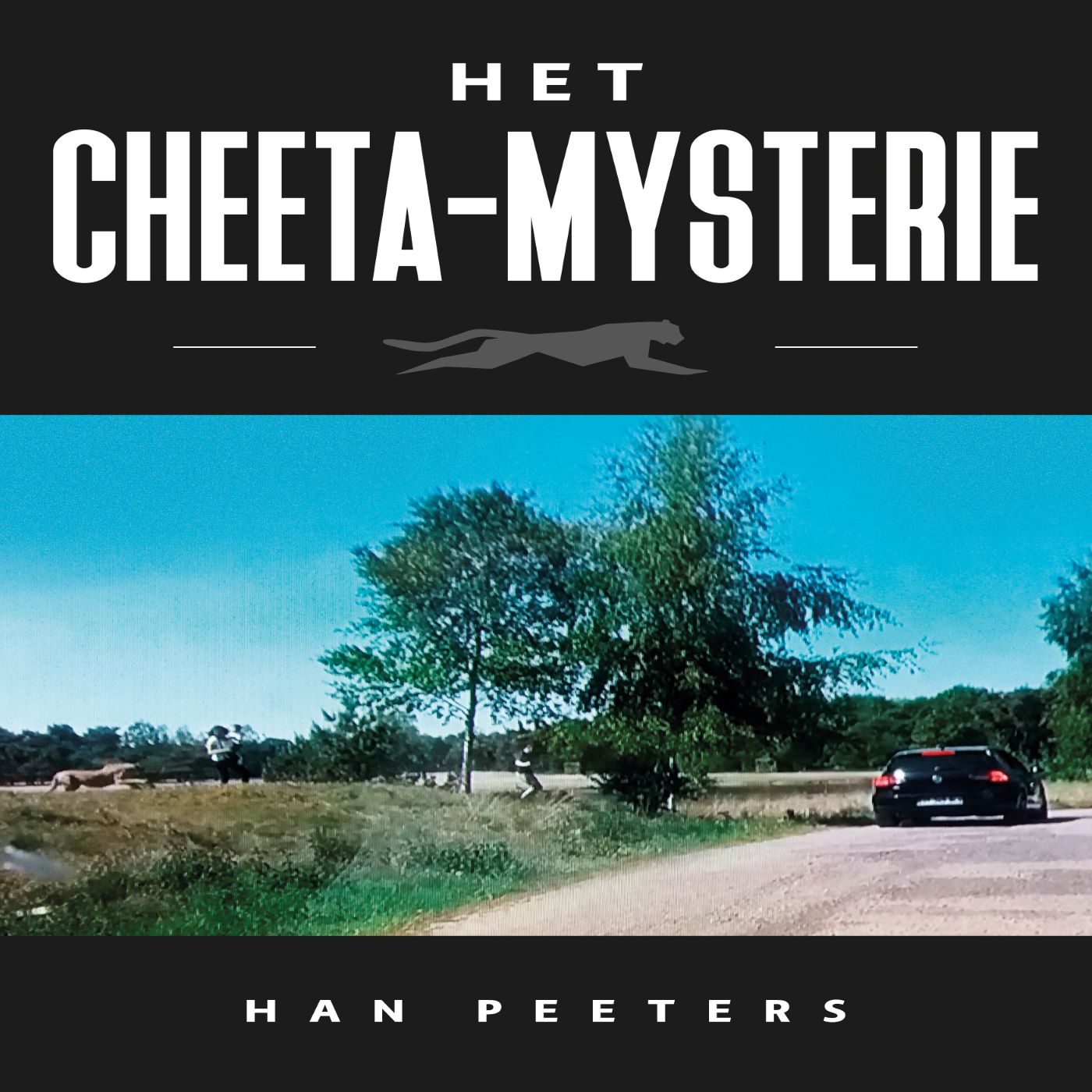 Omslag van Het Cheeta-mysterie
