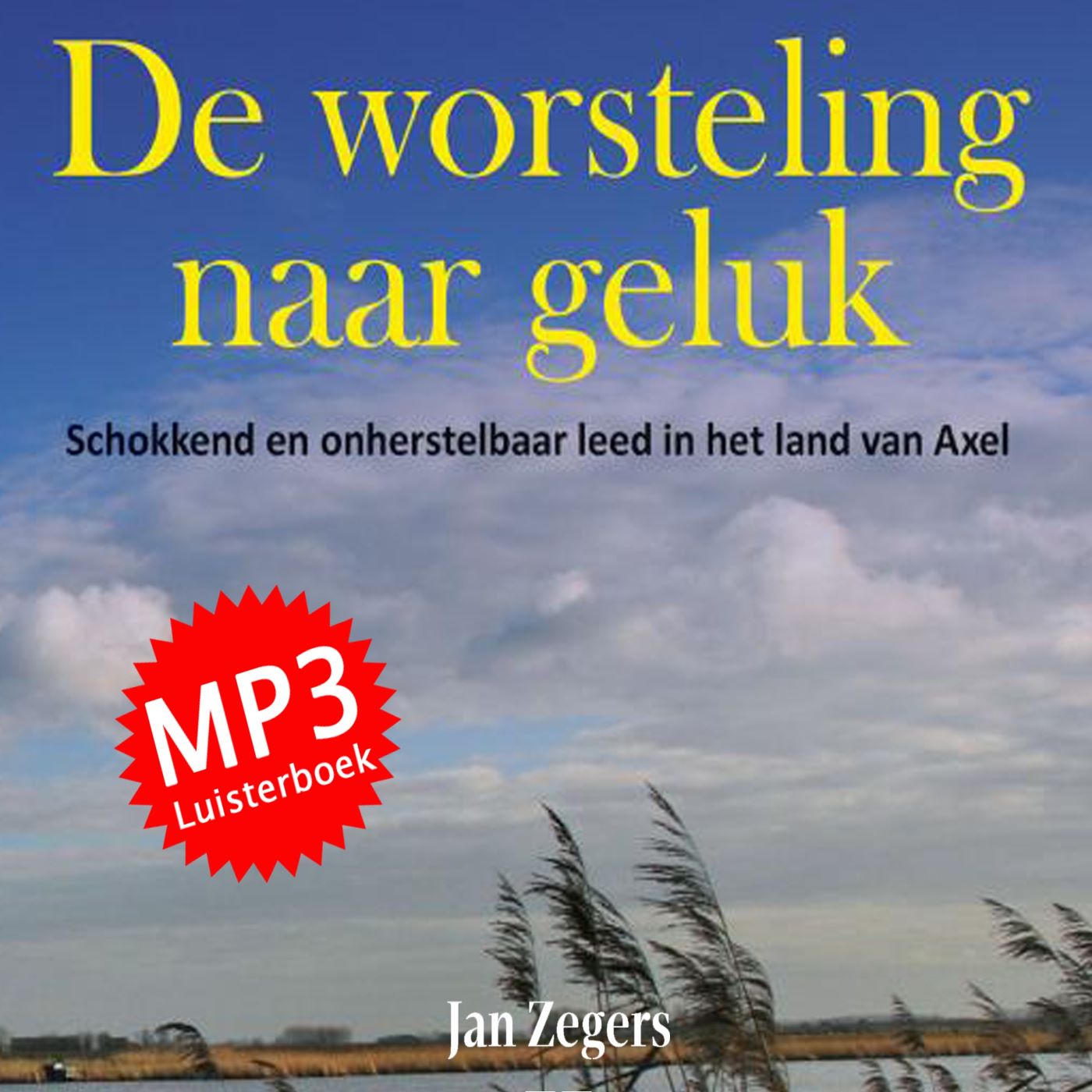 Omslag van De worsteling naar geluk