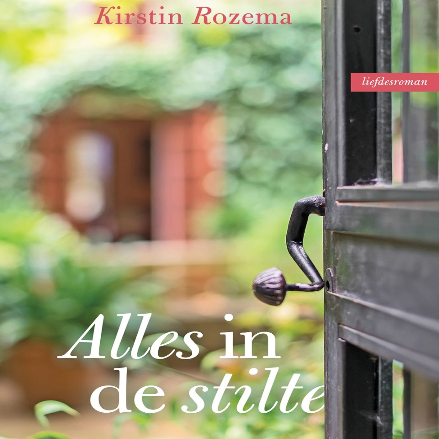 Omslag van Alles in de stilte