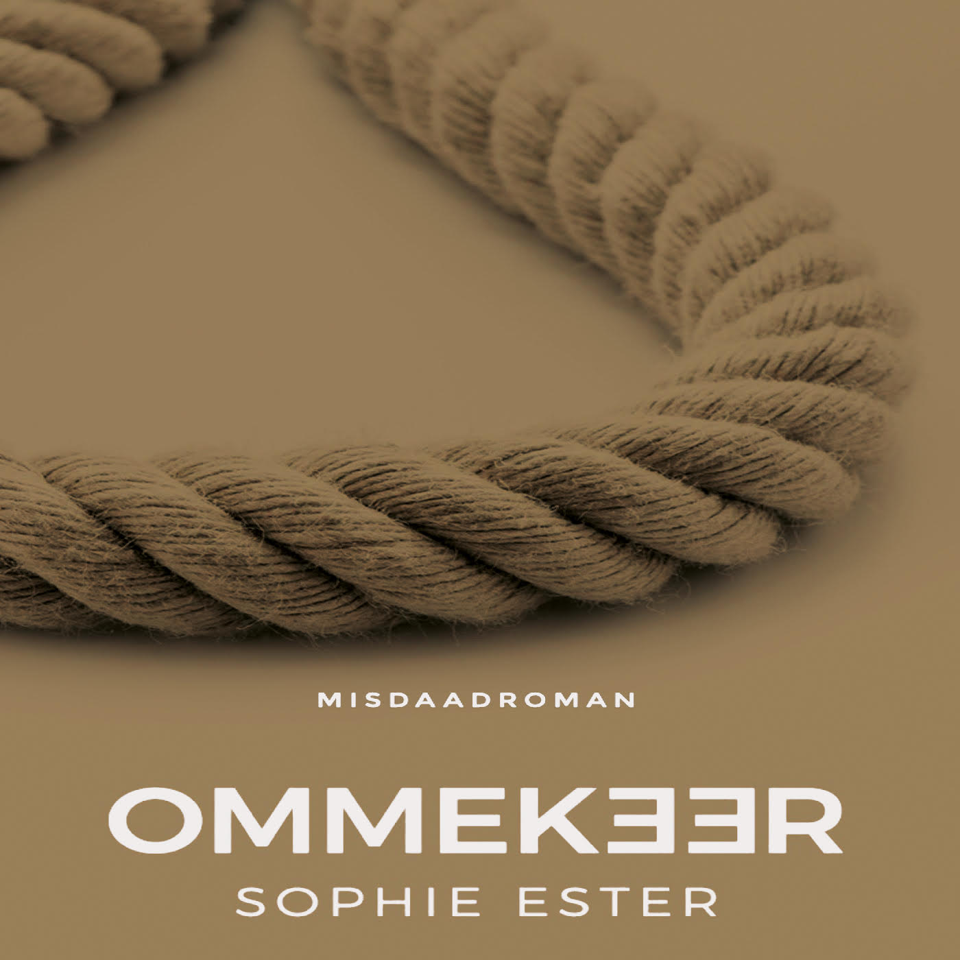 Omslag van Ommekeer