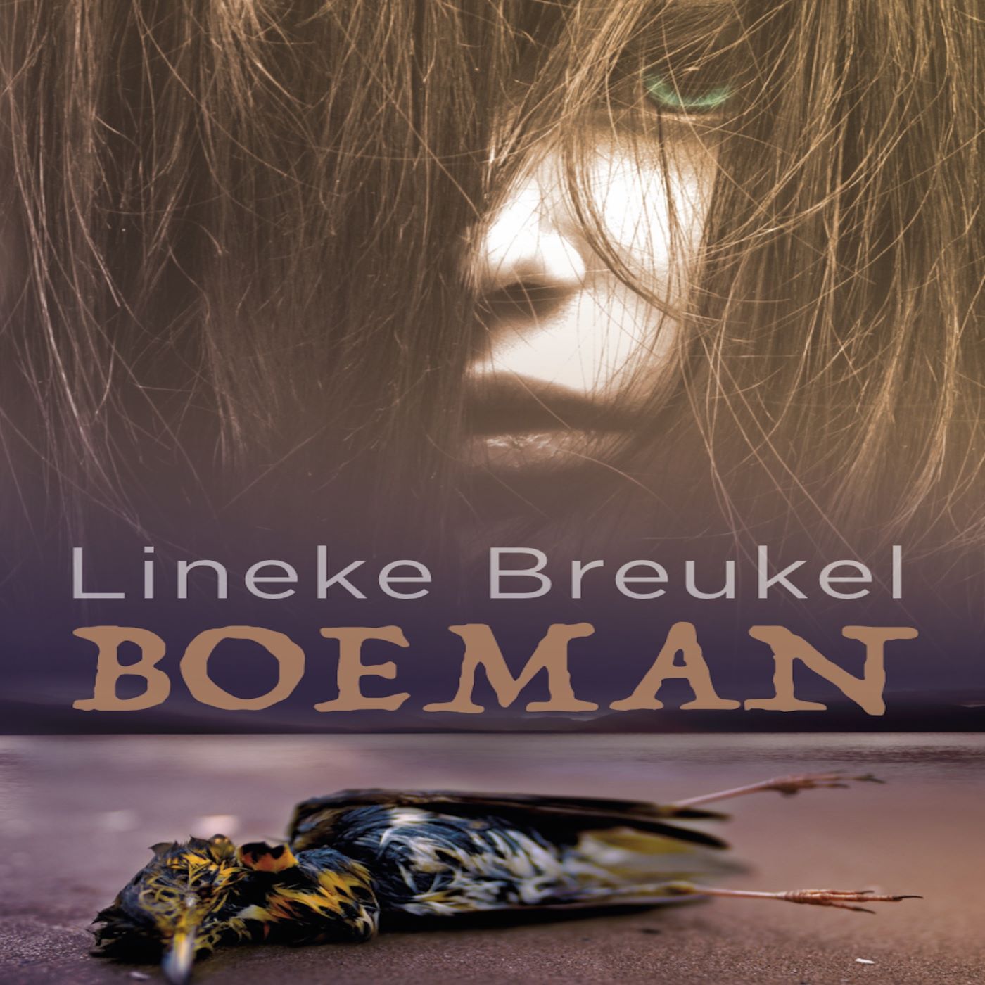 Omslag van Boeman