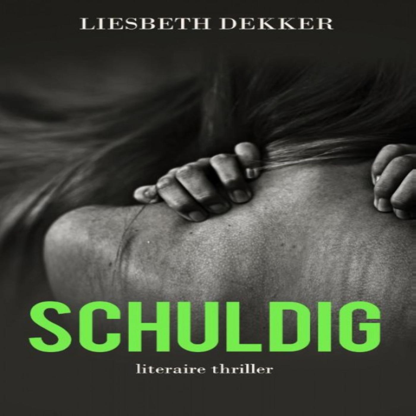 Omslag van Schuldig