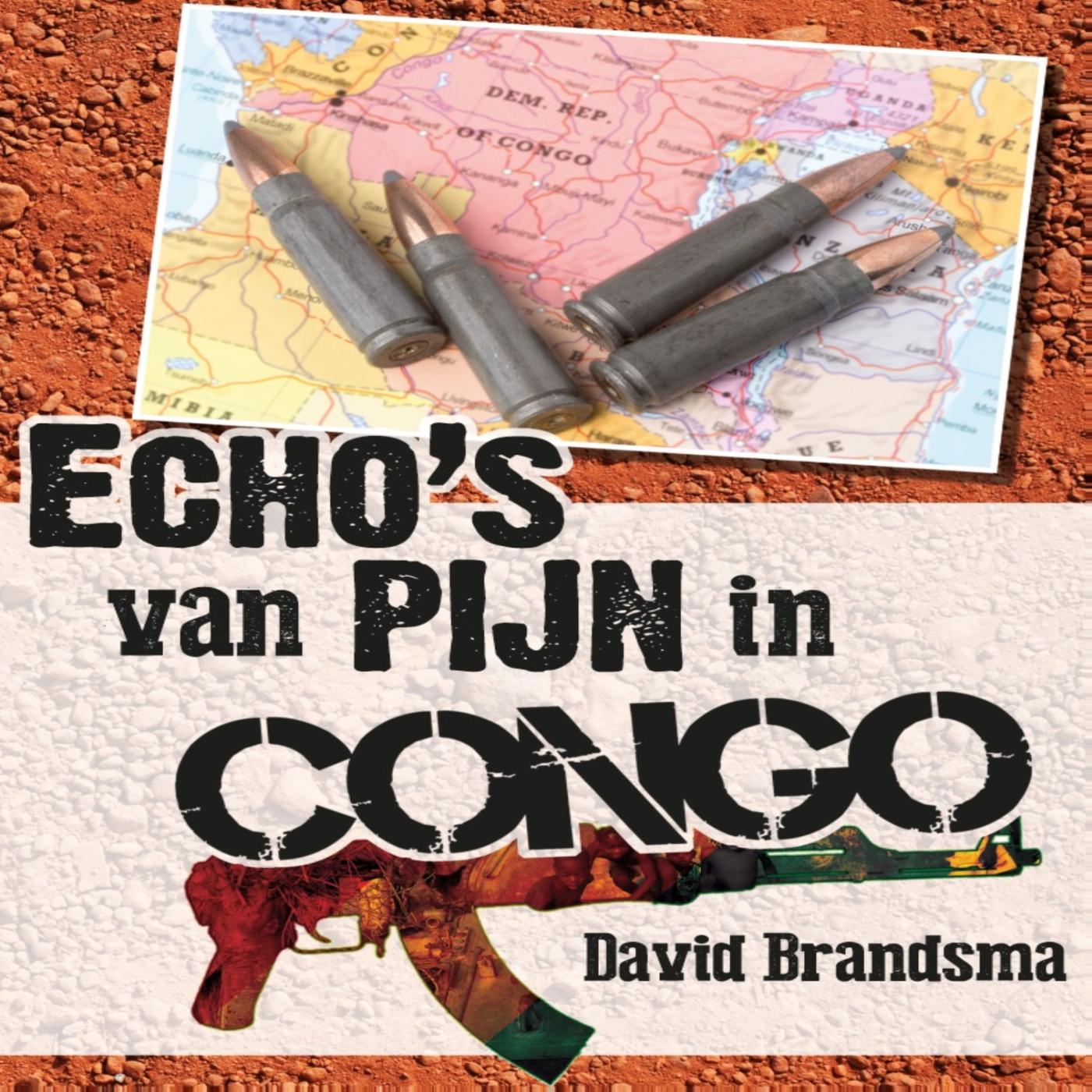Omslag van Echo's van pijn in Congo