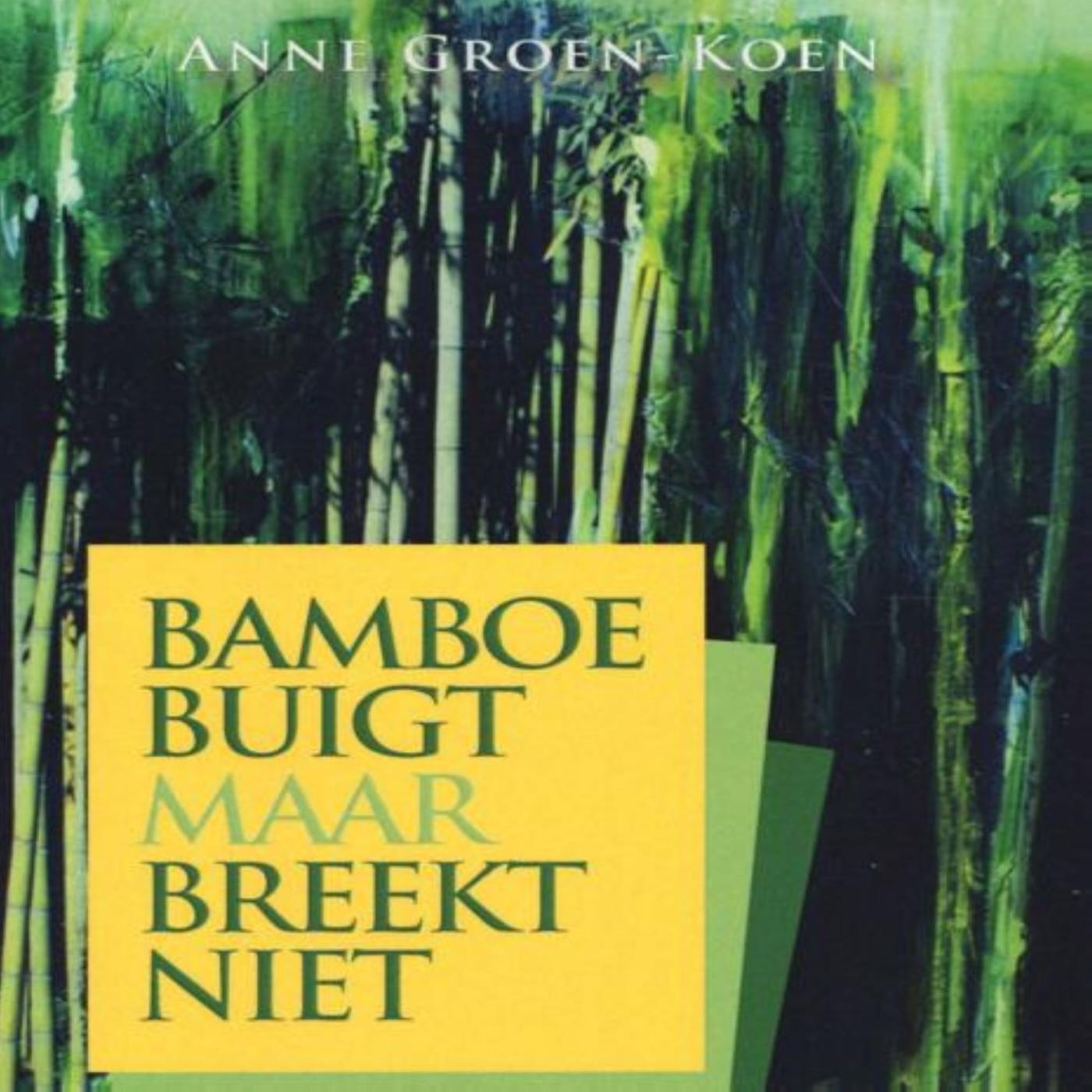 Omslag van Bamboe buigt maar breekt niet