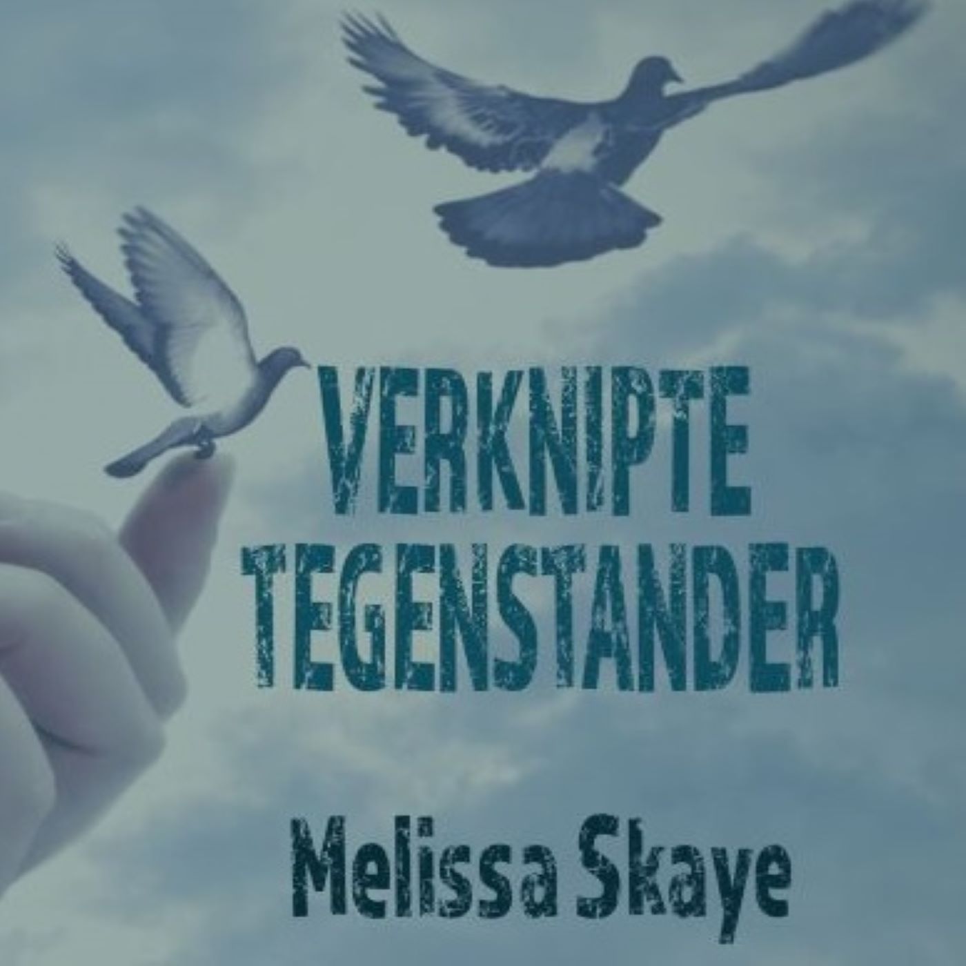 Omslag van Verknipte tegenstander