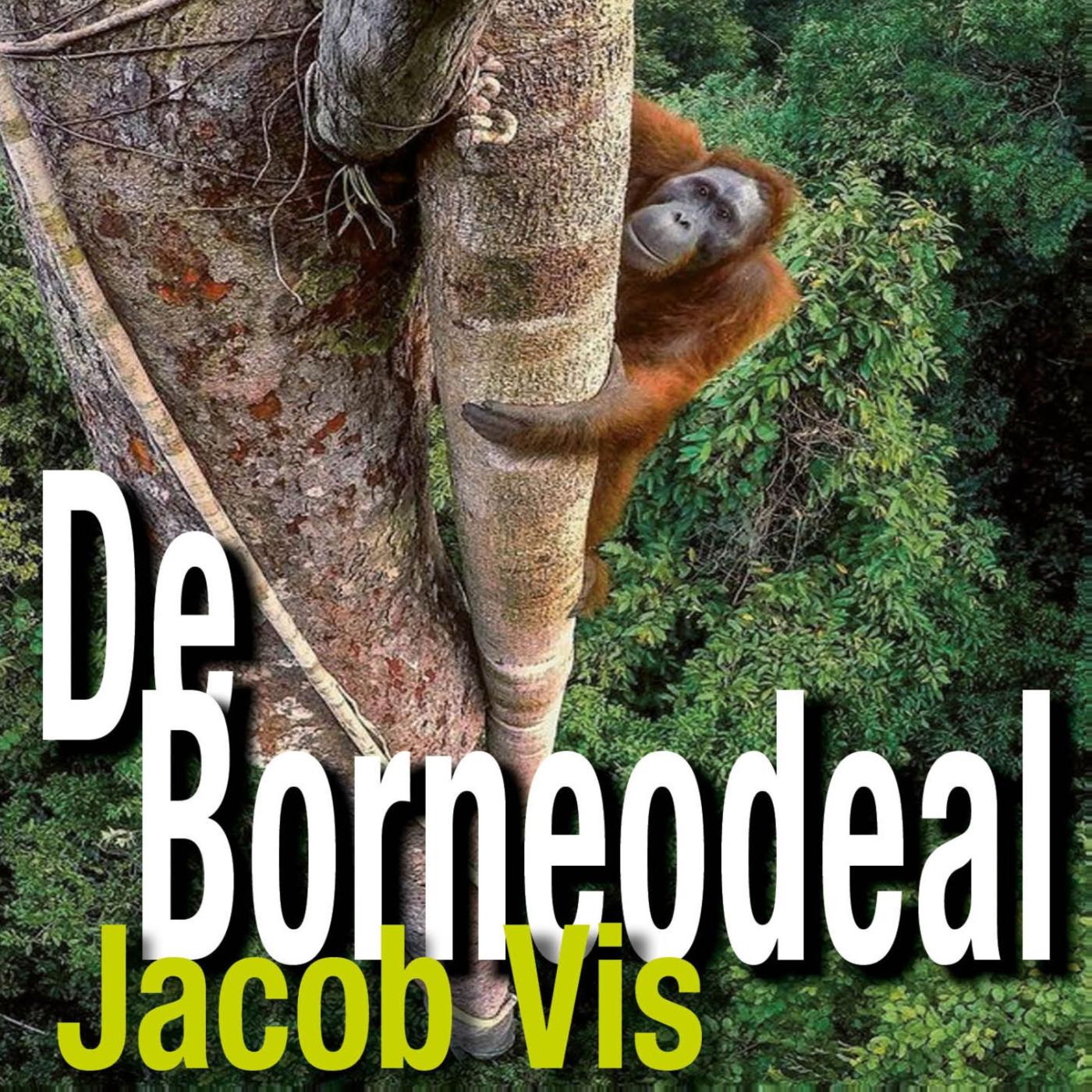 Omslag van De Borneodeal