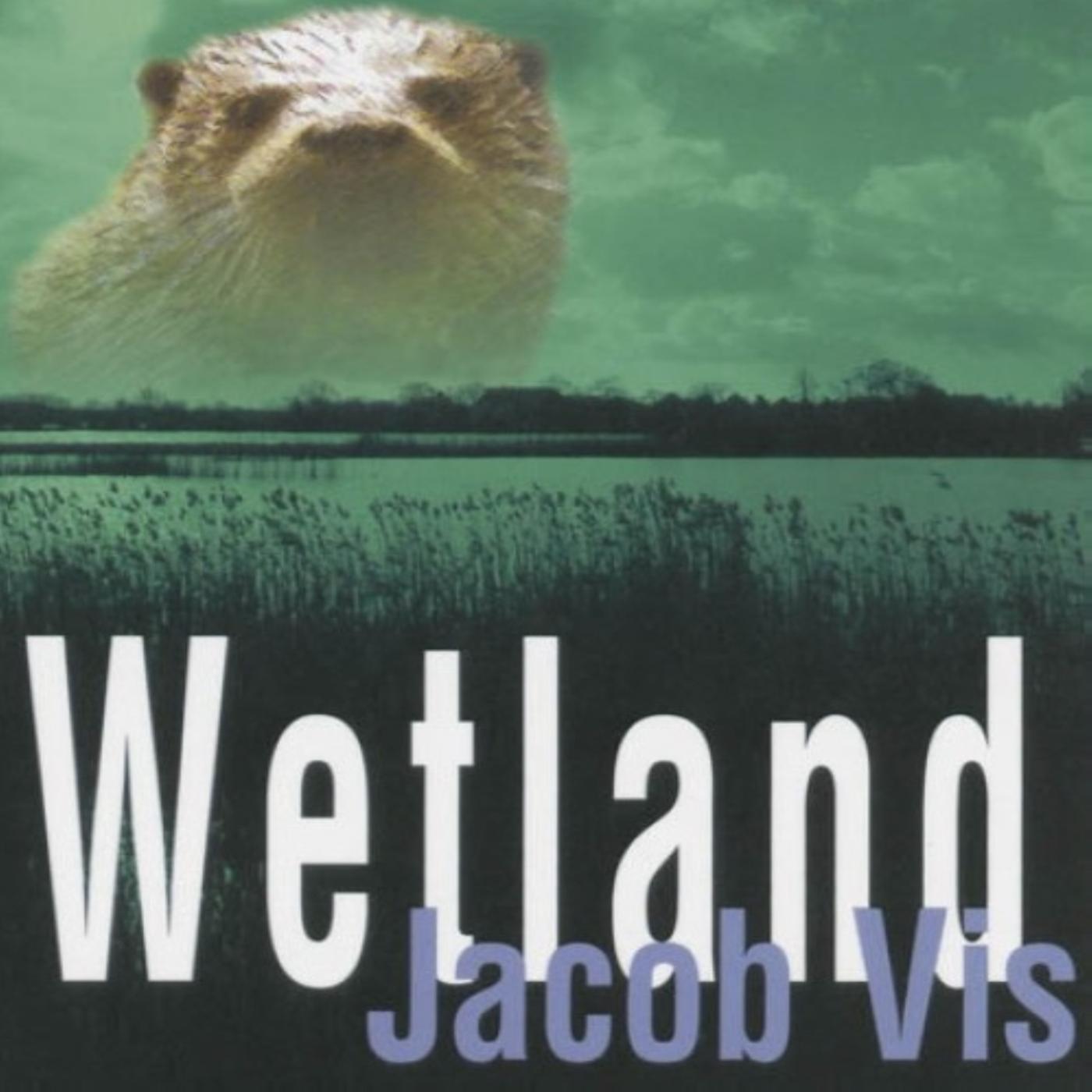 Omslag van Wetland