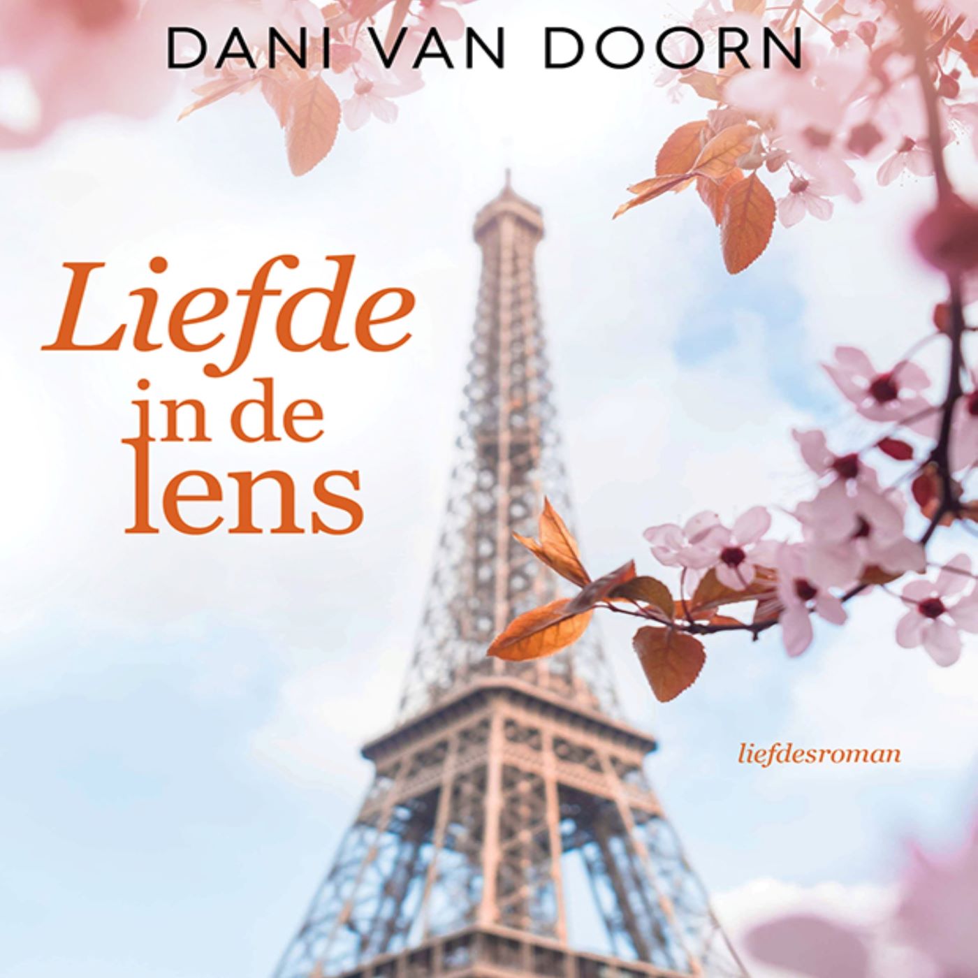 Omslag van Liefde in de lens