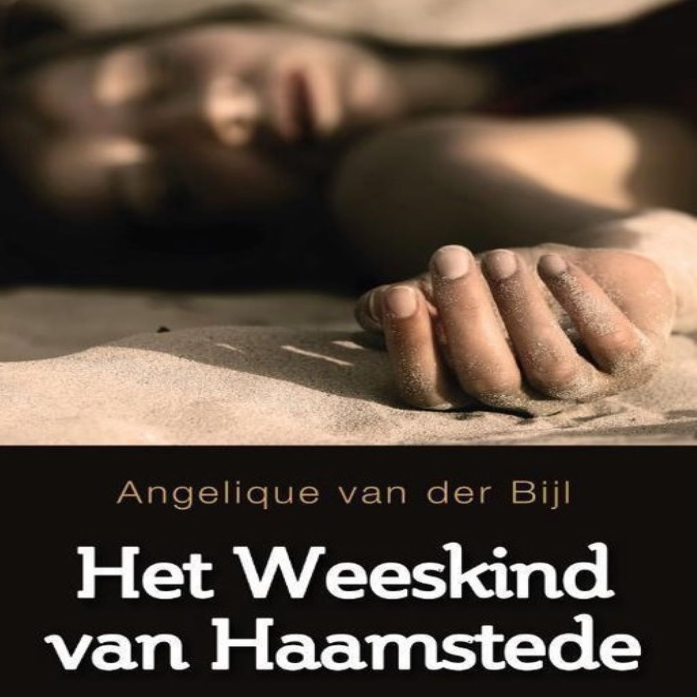 Omslag van Het weeskind van Haamstede