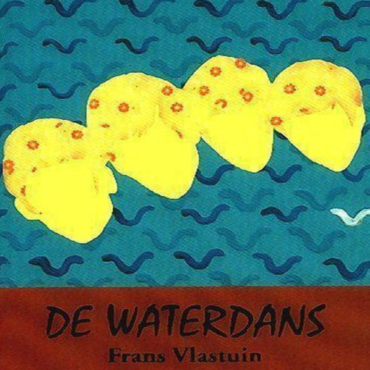 Omslag van De waterdans
