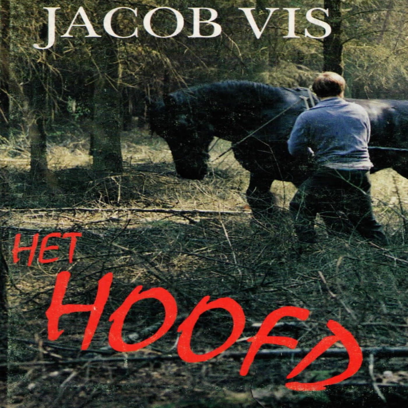 Omslag van Het hoofd