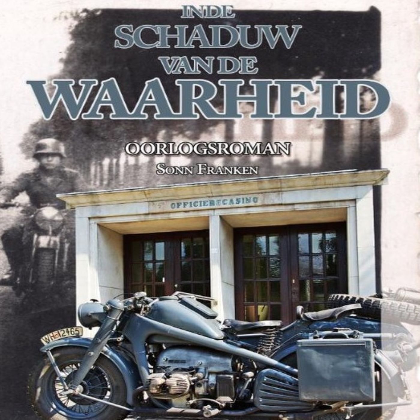 Omslag van In de schaduw van de waarheid