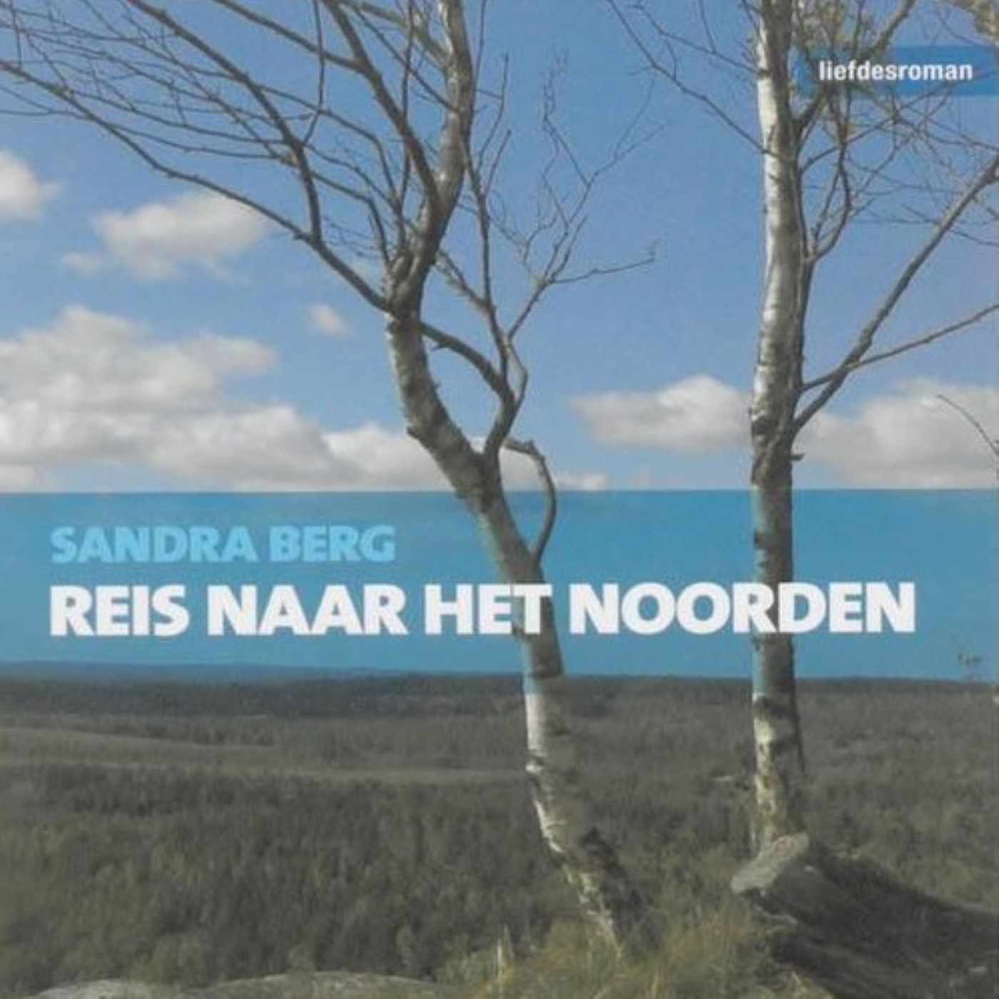 Omslag van Reis naar het noorden