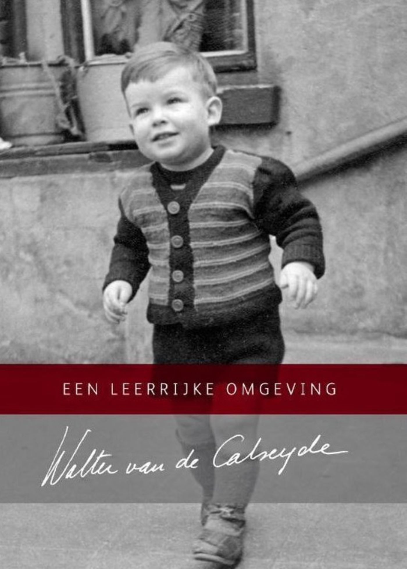 Omslag van Een leerrijke omgeving