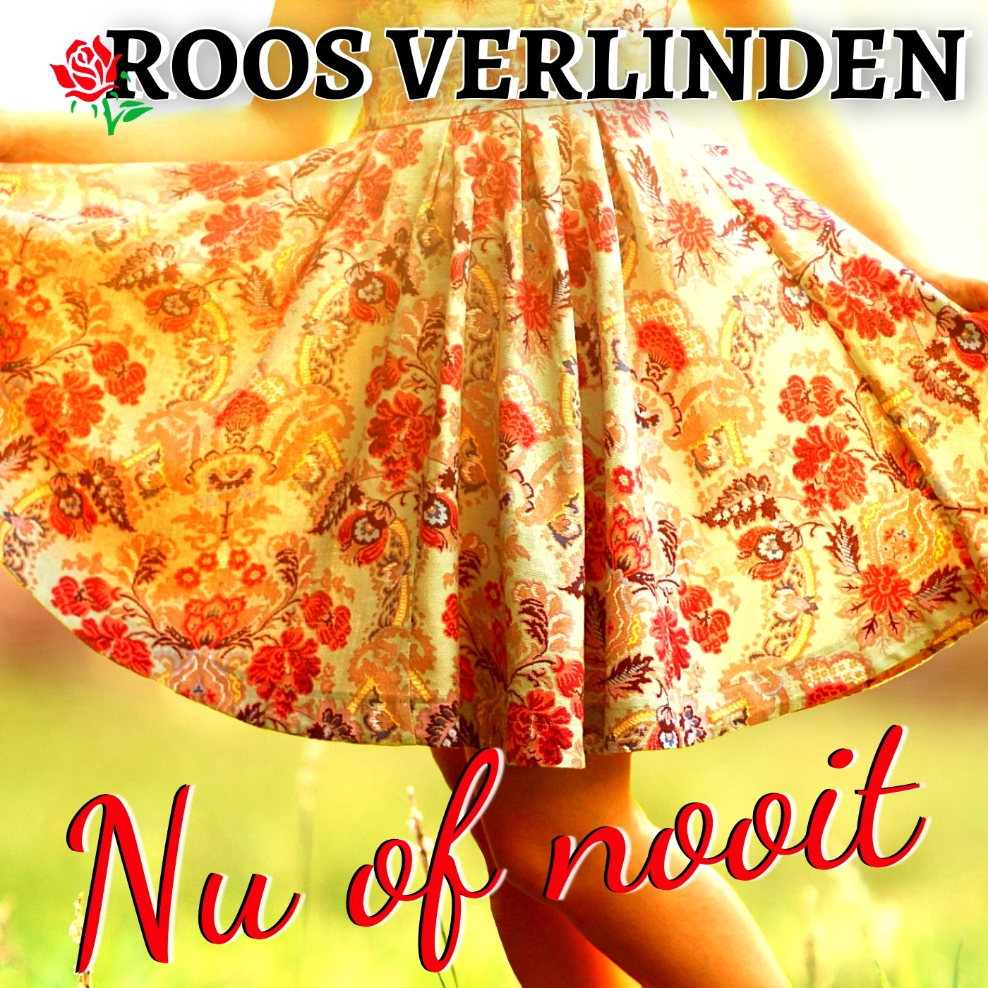 Omslag van Nu of nooit