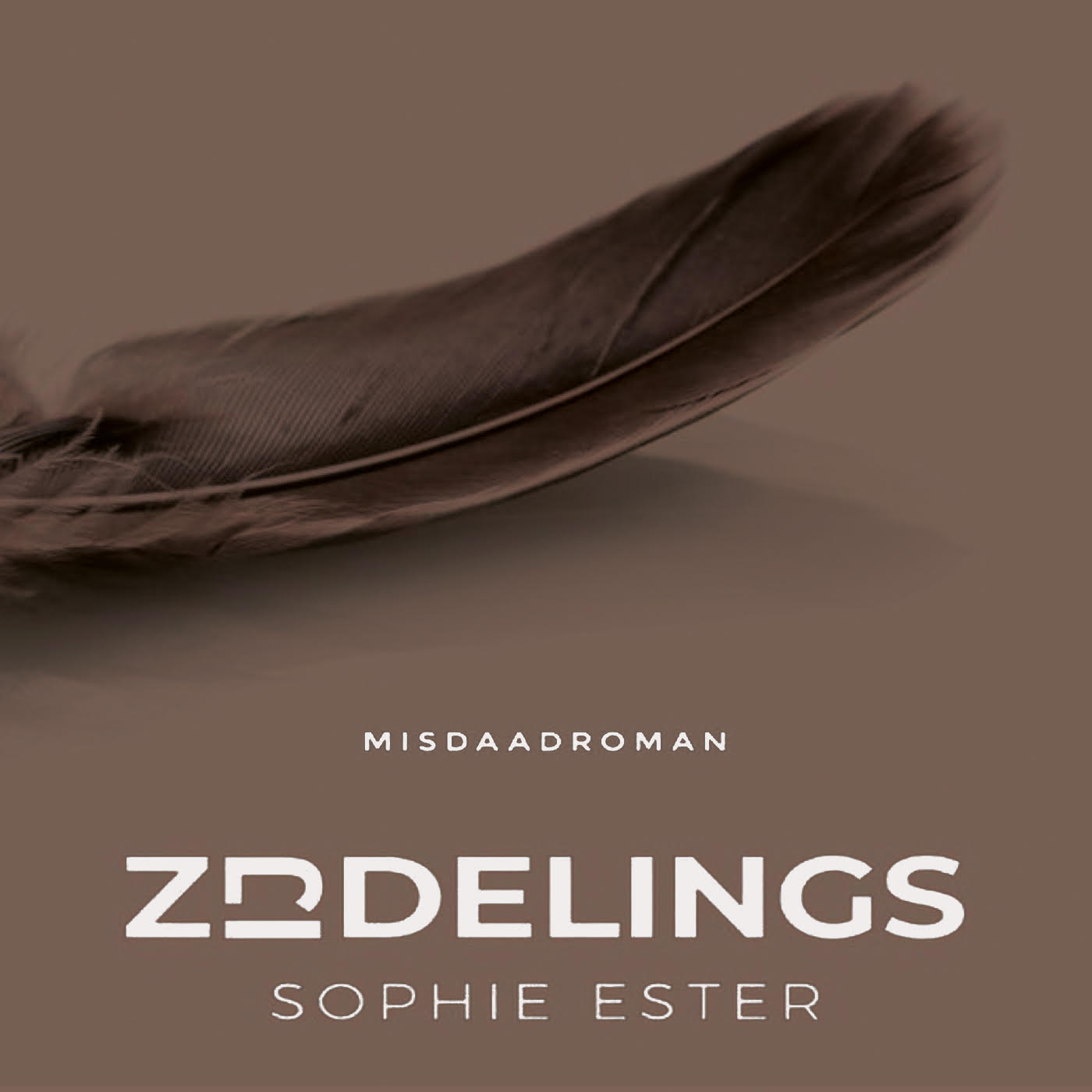 Omslag van Zijdelings