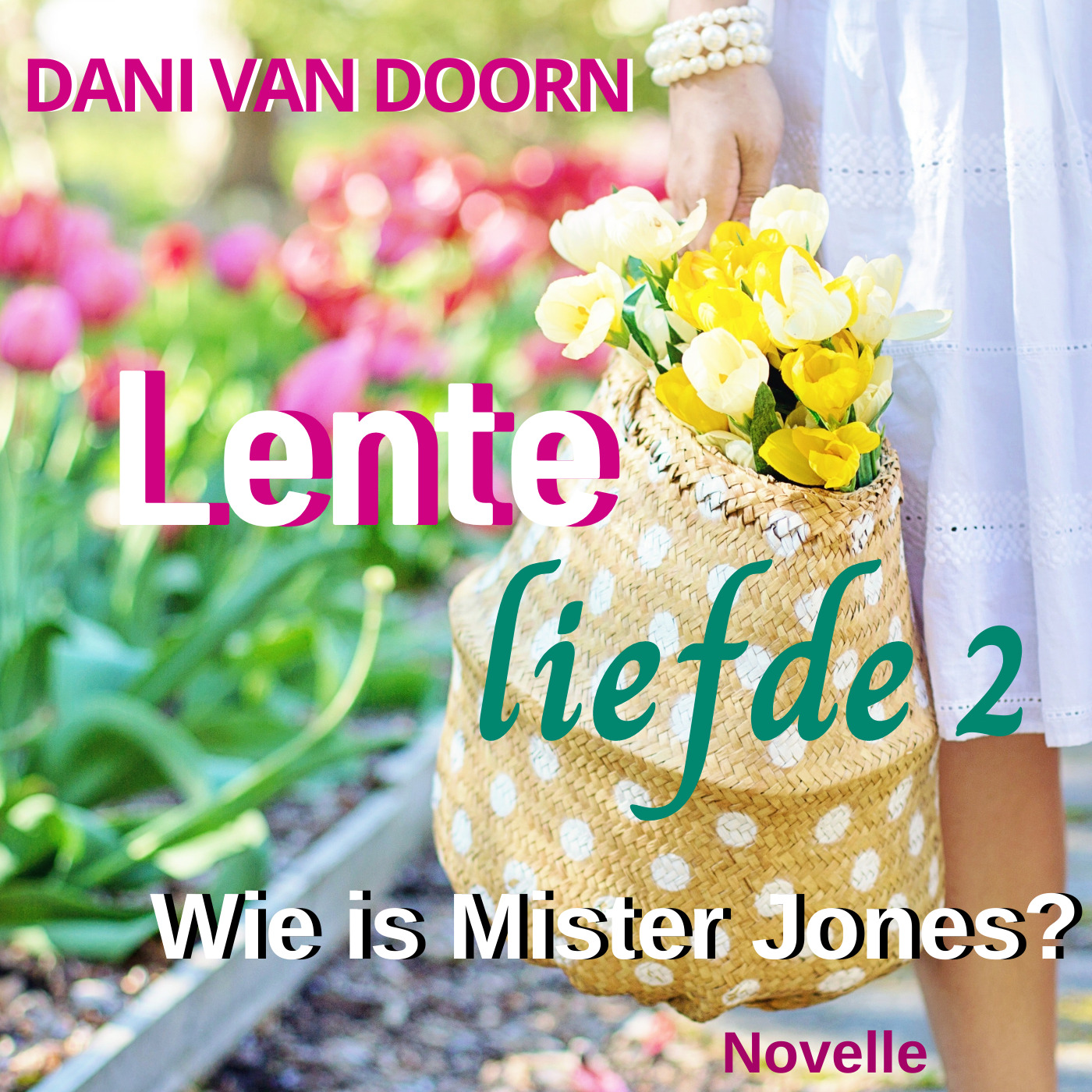 Omslag van Wie is Mister Jones?