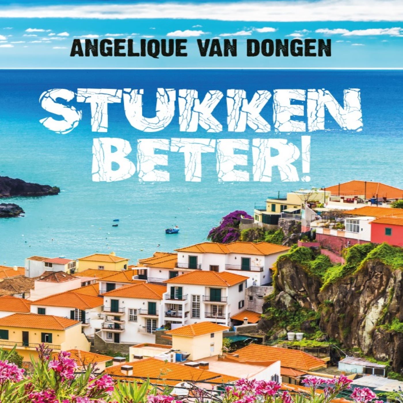 Omslag van Stukken Beter!