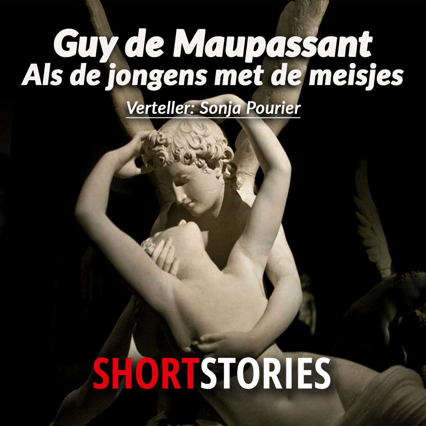 Omslag van Als de jongens met de meisjes...