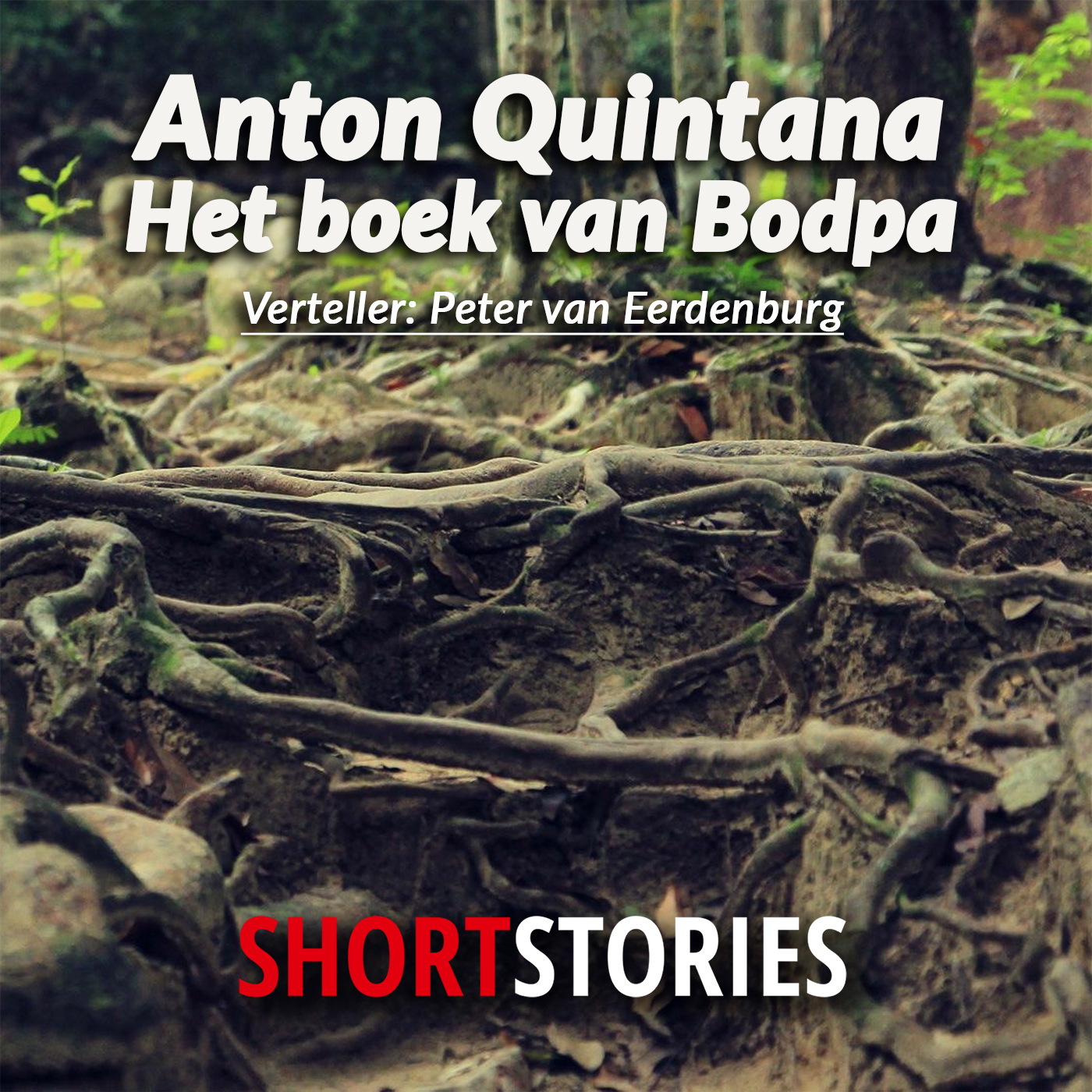 Omslag van Het boek van Bodpa