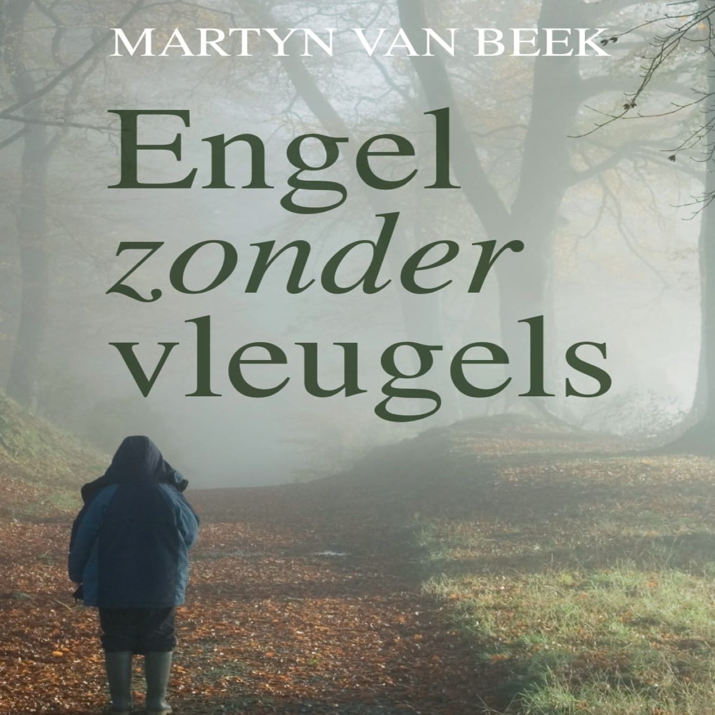 Omslag van Engel zonder vleugels