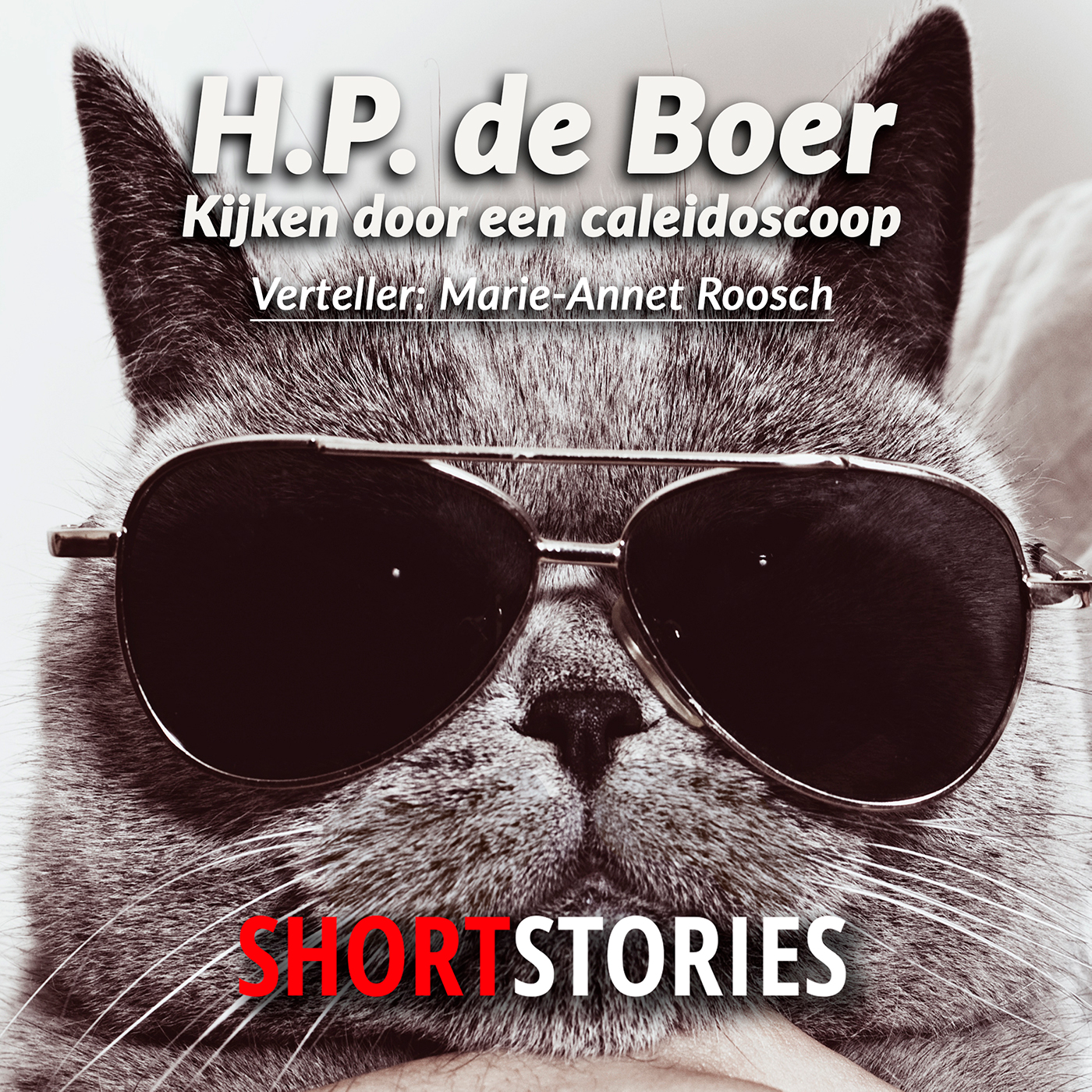 Omslag van Kijken door een kaleidoscoop