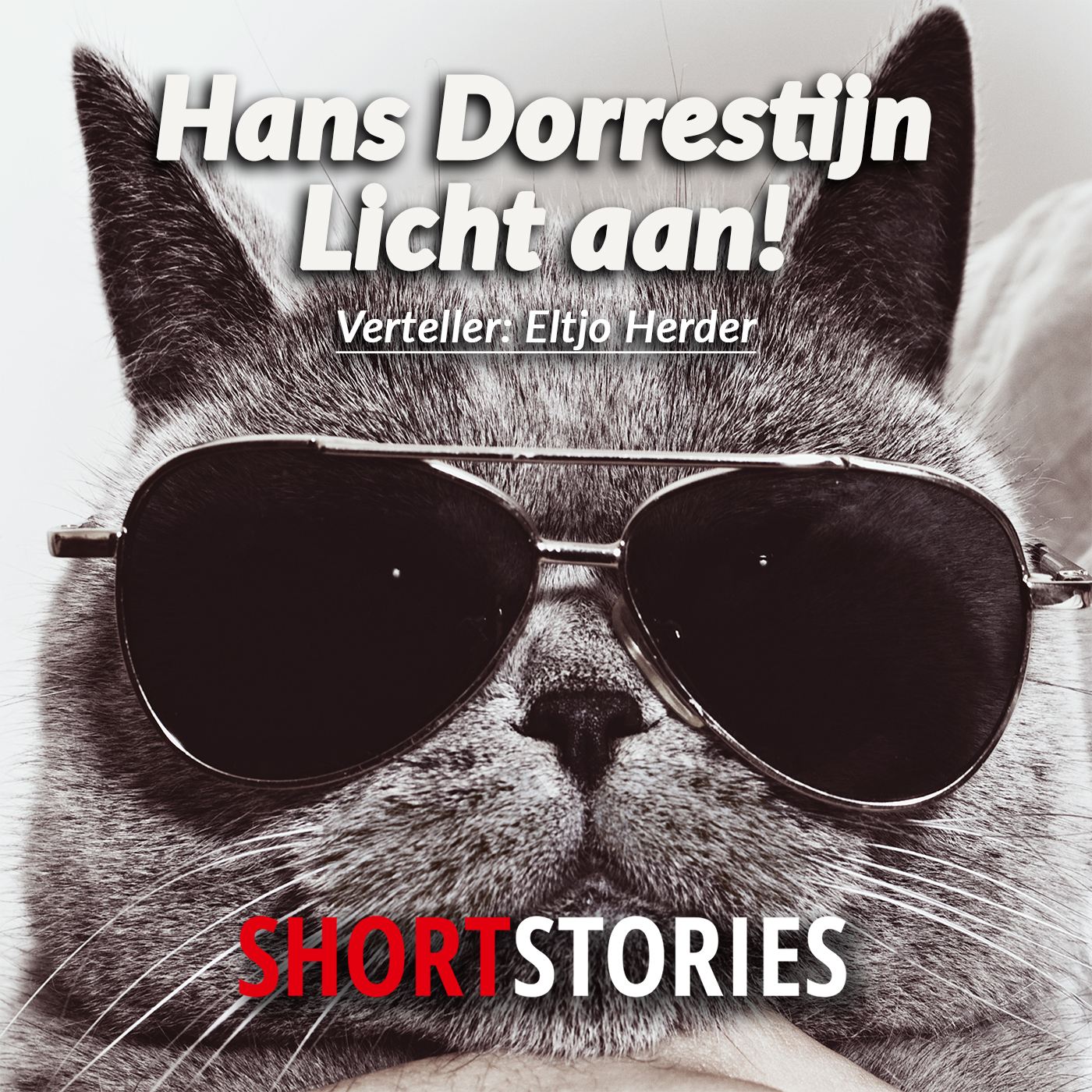 Omslag van Licht aan!