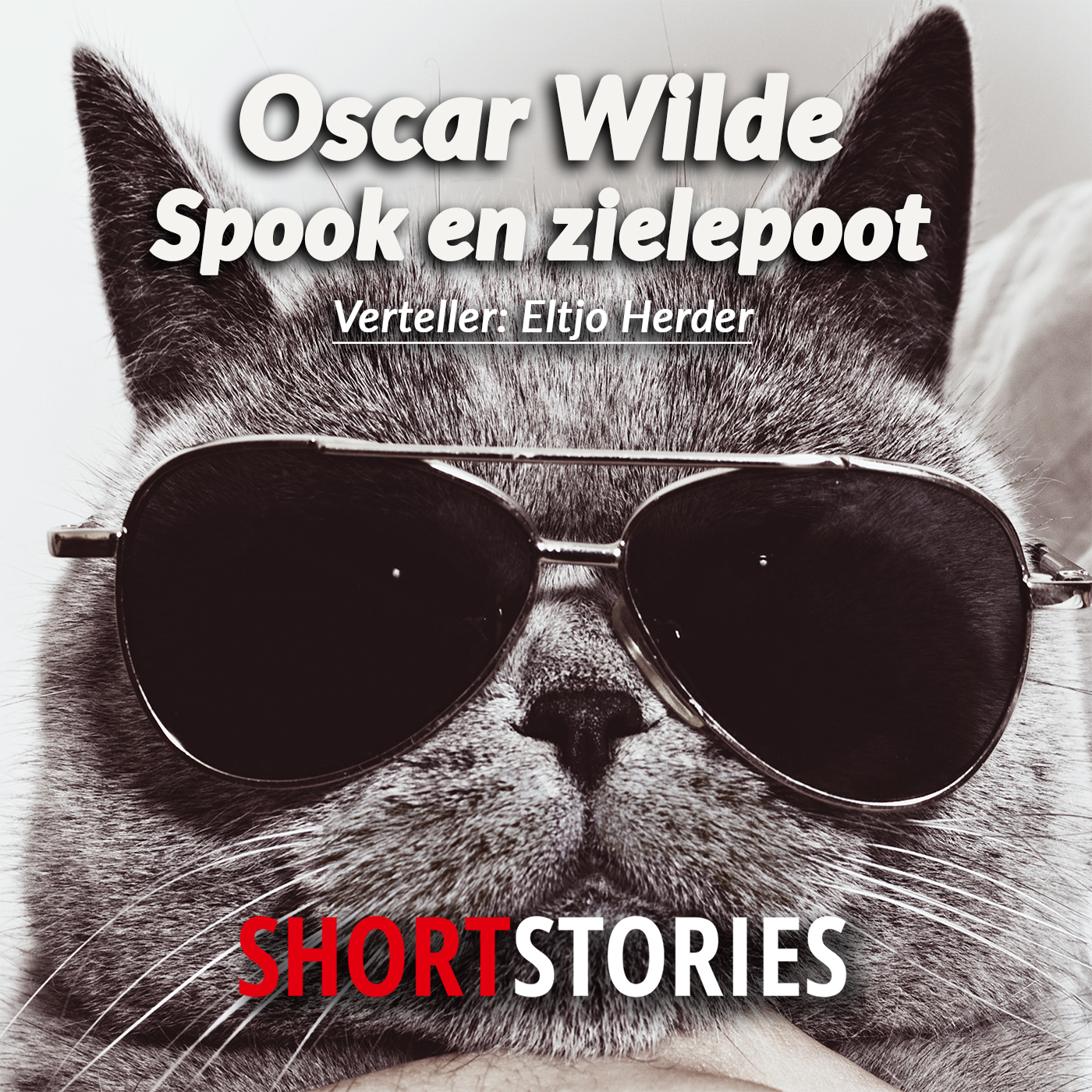 Omslag van Spook èn zielepoot